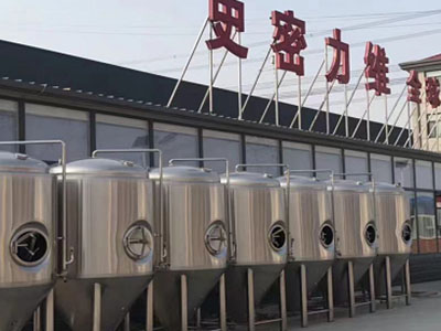 天柱精酿啤酒设备厂—如何判断精酿啤酒设备的密封件需要更换？